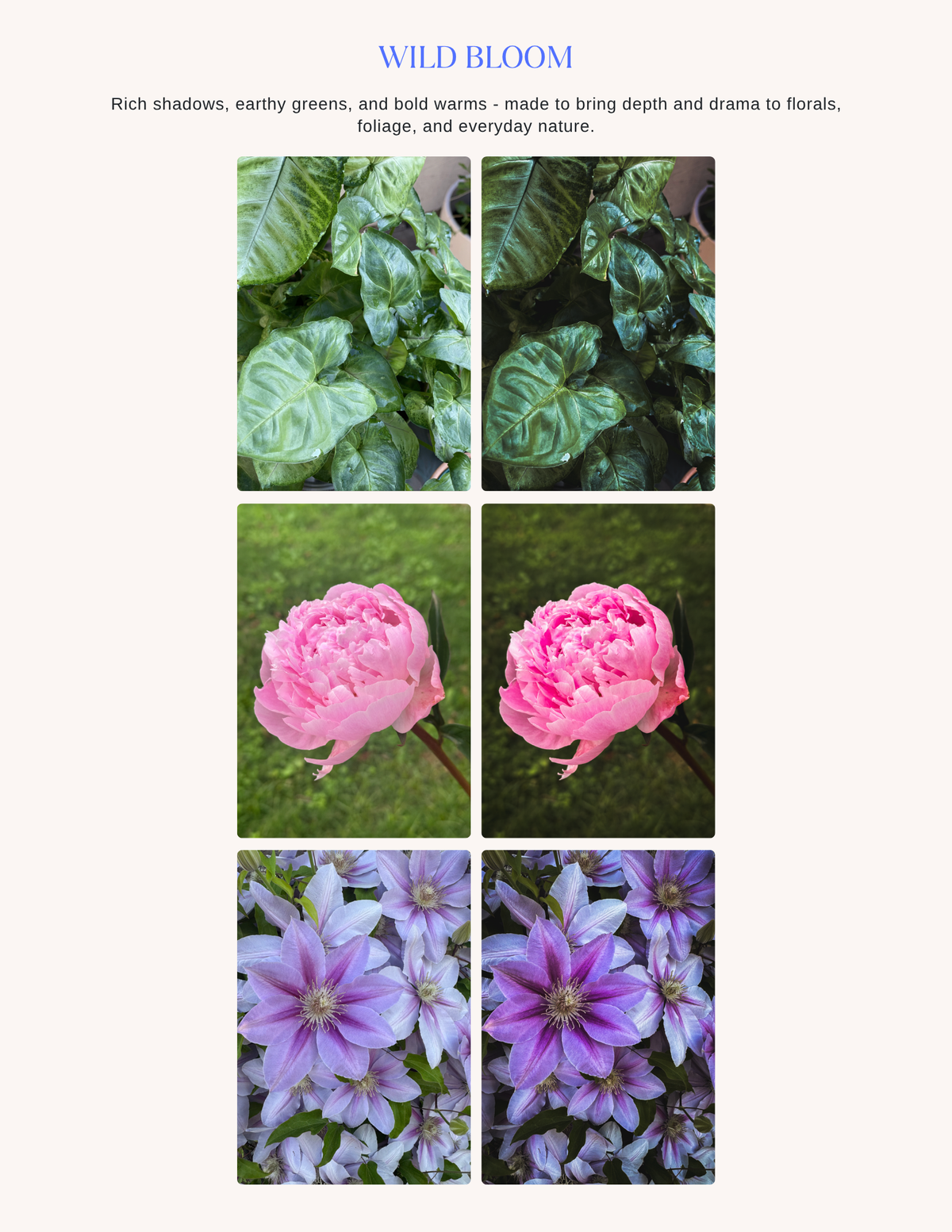 Wild Bloom Mobile Preset