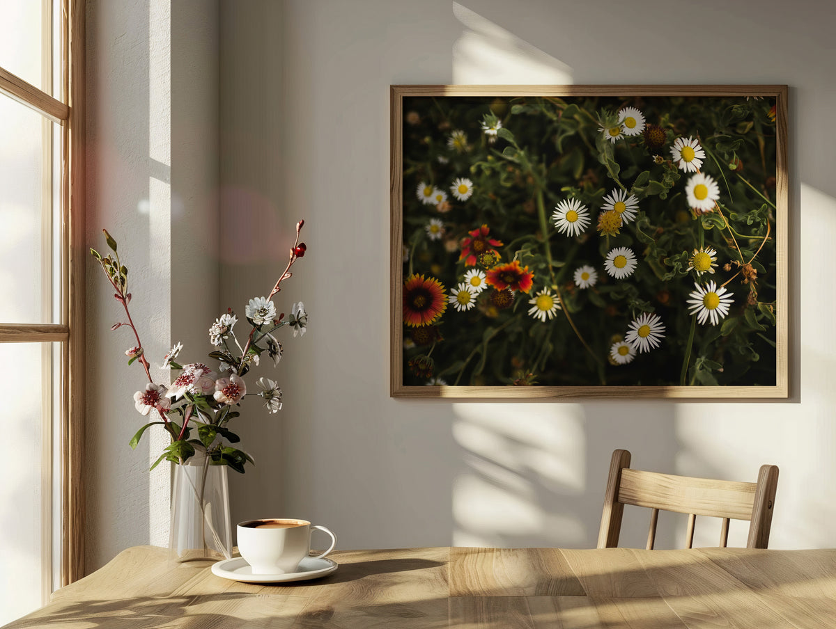Meadow Dance | Wildflower Fine Art Photography Print, Botanical Wall Art, Daisy Field Decor