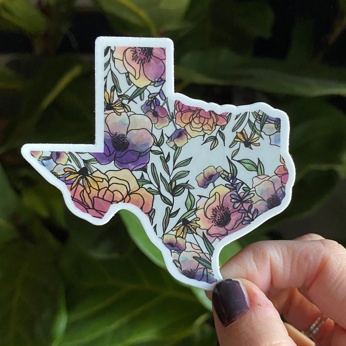 Texas | Sticker
